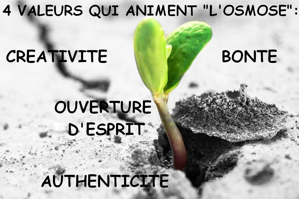 valeurs vision L Osmose coaching formation