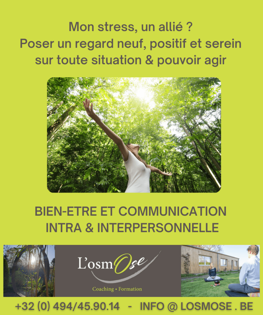 atelier Stress allié Bien-être Communication Boost Equipe Boost Bienêtre et Communication